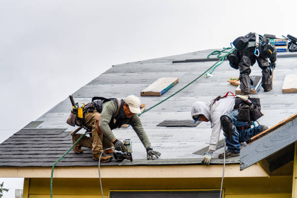Professional Gutter Installation technician working in Bridgeton, NC